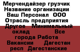 Мерчендайзер-грузчик › Название организации ­ Ваш Персонал, ООО › Отрасль предприятия ­ Другое › Минимальный оклад ­ 40 000 - Все города Работа » Вакансии   . Дагестан респ.,Дагестанские Огни г.